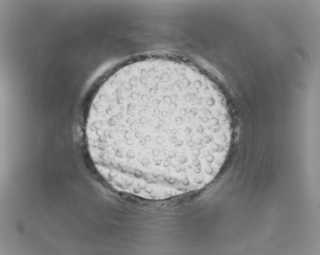 X0000114391400200911271449