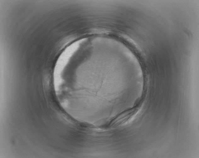 X0000114391401200911271449