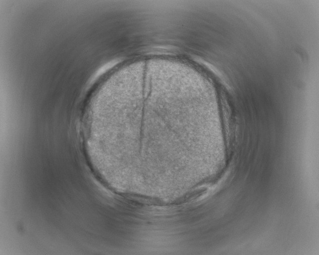 X0000114391402200911271449