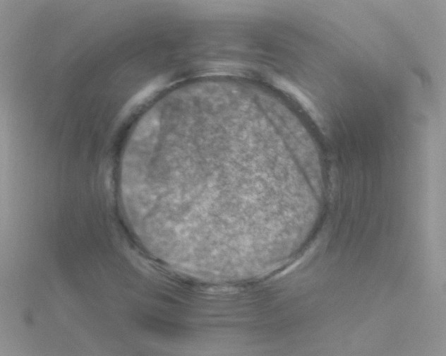 X0000114391403200911271449