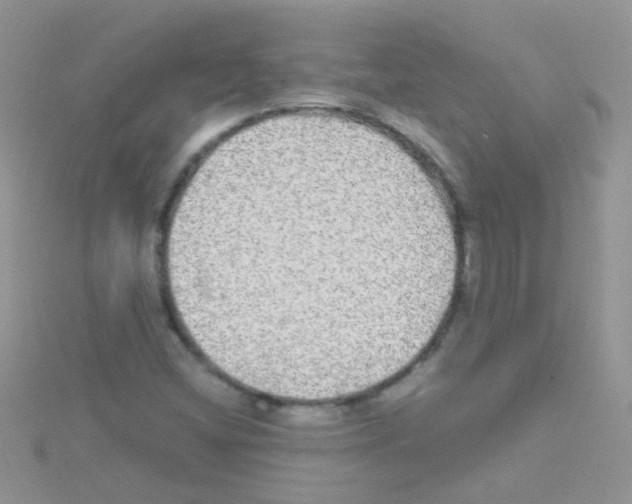 X0000114391404200911271449