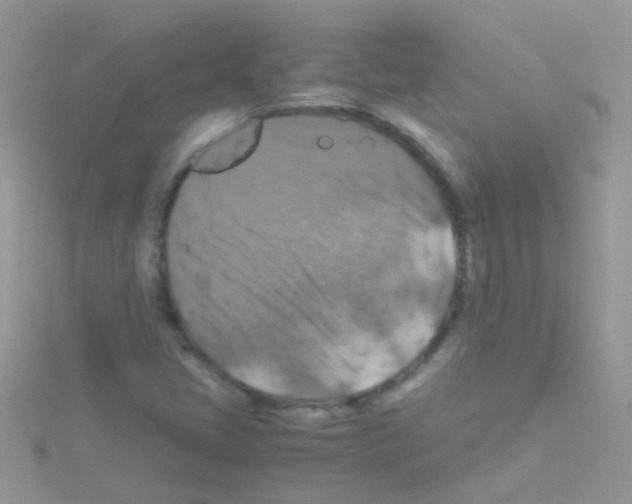 X0000114391405200911271449