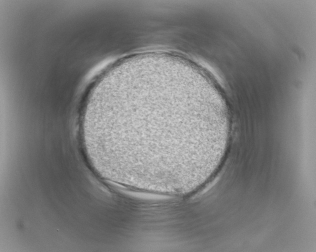 X0000114391406200911271449