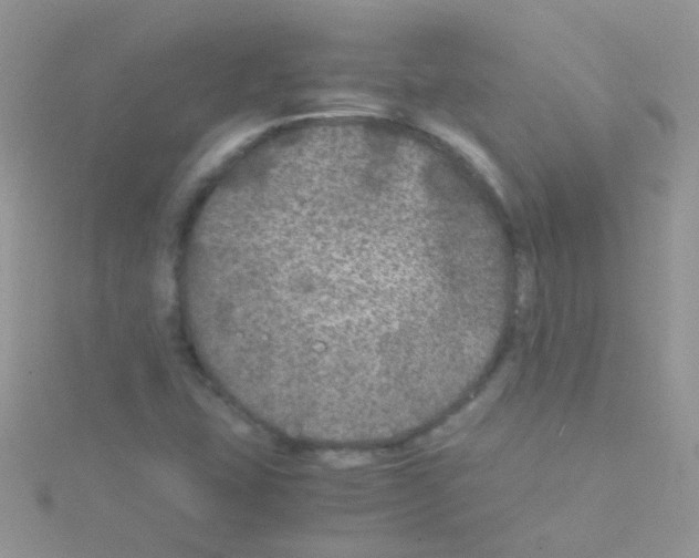 X0000114391407200911271449