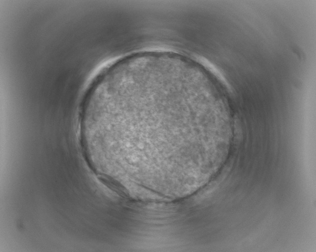 X0000114391408200911271449