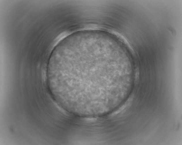 X0000114391409200911271449