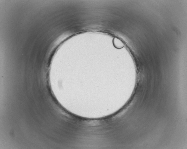 X0000114391410200911271449