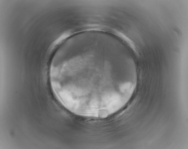 X0000114391411200911271449