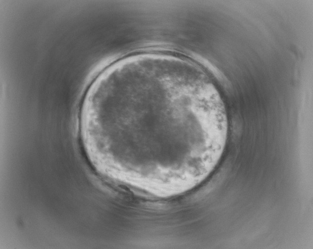 X0000114391413200911271449