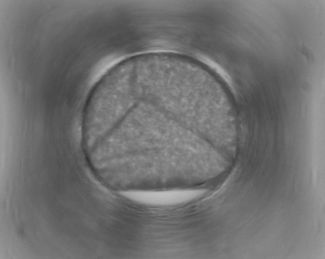 X0000114391415200911271449