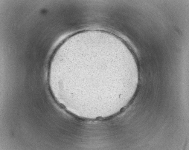 X0000114391416200911271450