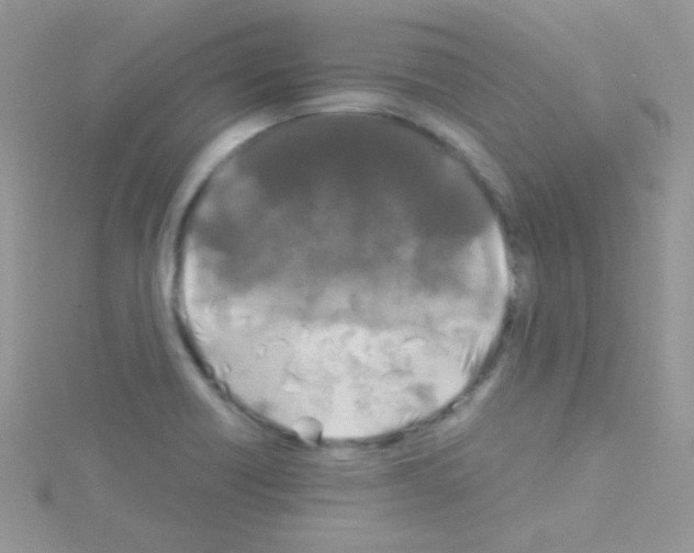 X0000114391418200911271450