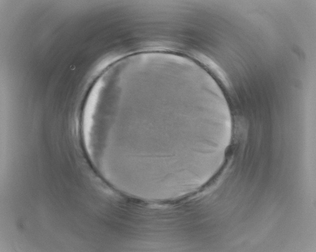 X0000114391419200911271450