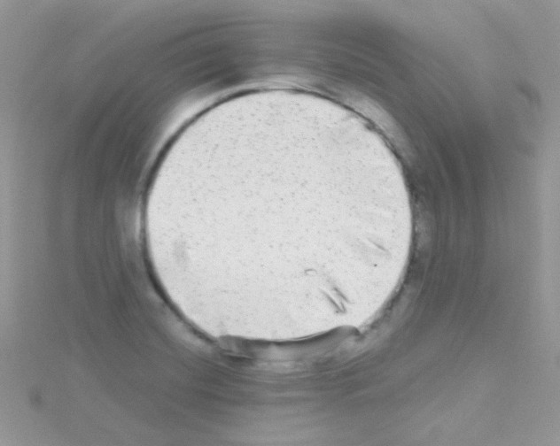 X0000114391420200911271450