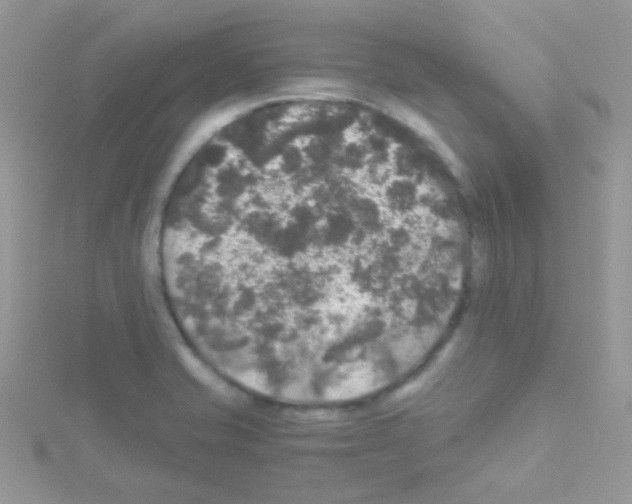 X0000114391421200911271450