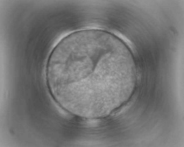 X0000114391423200911271450