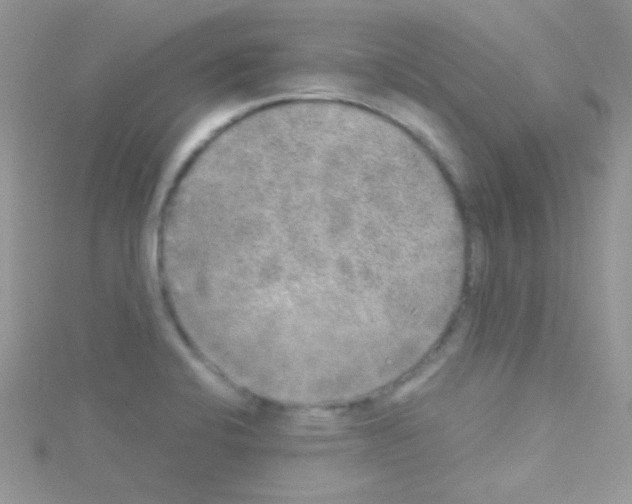 X0000114391424200911271450