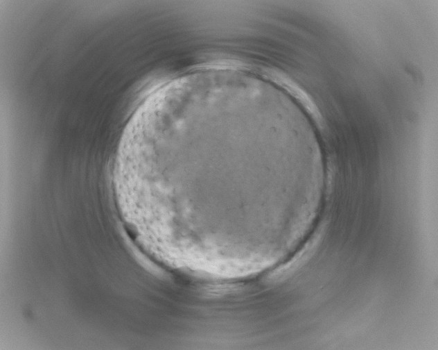 X0000114391425200911271450