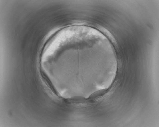 X0000114391427200911271450