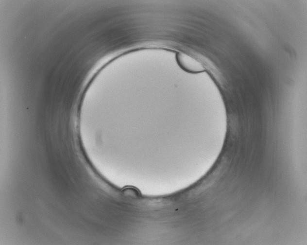 X0000114391428200911271450