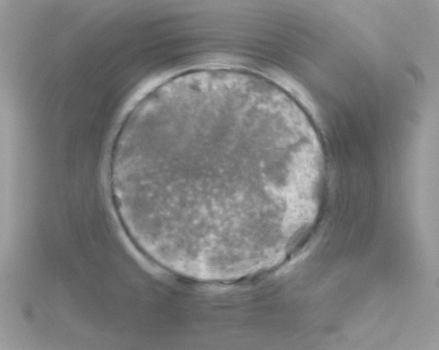 X0000114391429200911271450