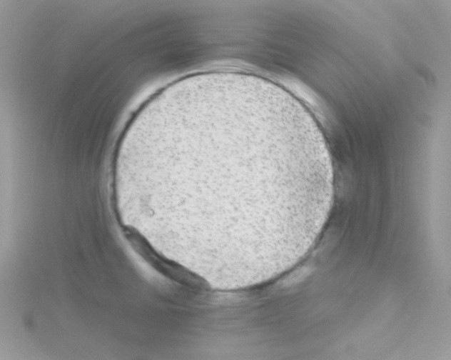 X0000114391430200911271450