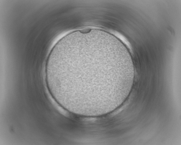 X0000114391431200911271450