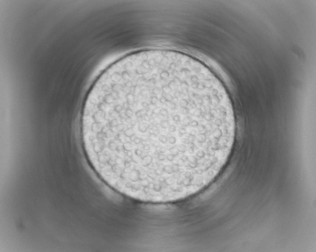 X0000114391432200911271450