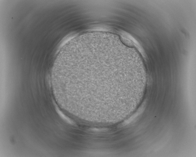 X0000114391433200911271450