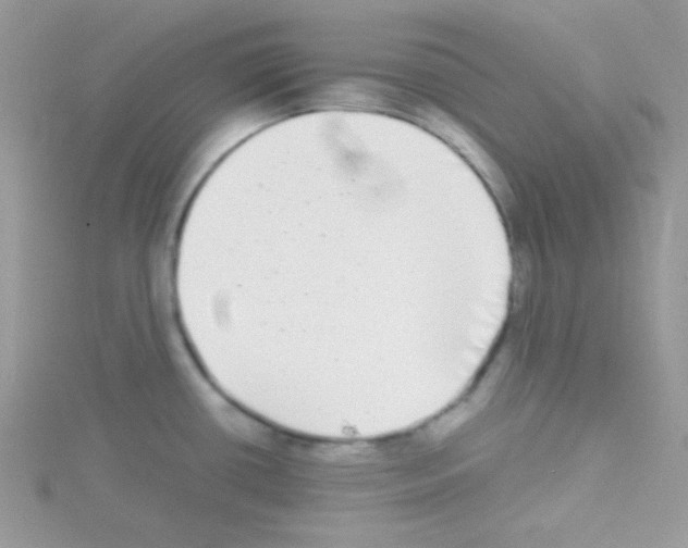 X0000114391434200911271450