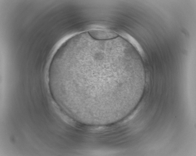 X0000114391435200911271450