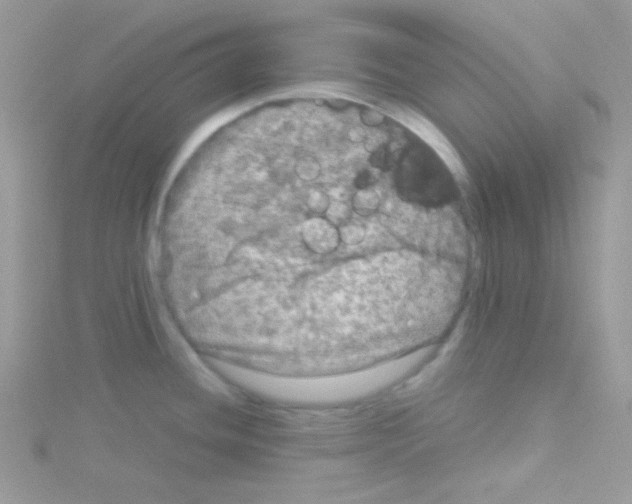 X0000114391436200911271450