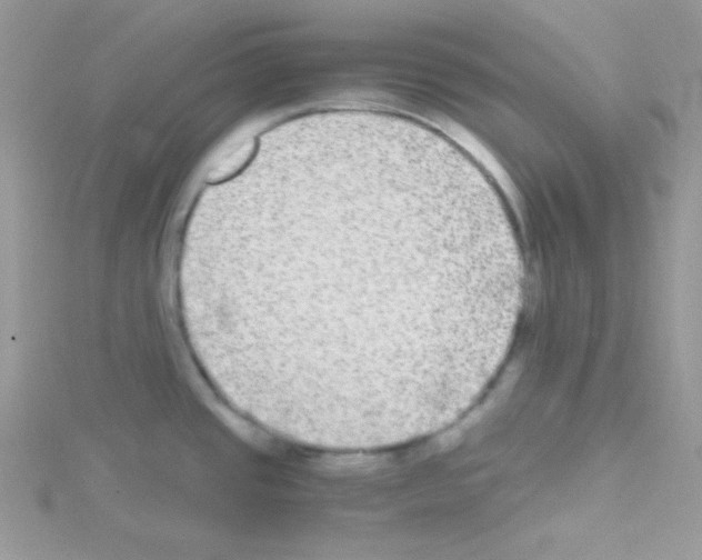 X0000114391437200911271450