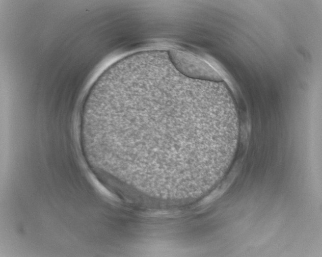 X0000114391438200911271450