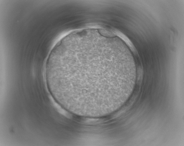 X0000114391439200911271450