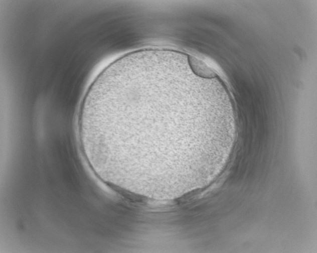 X0000114391440200911271450