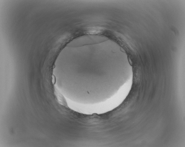 X0000114391441200911271449