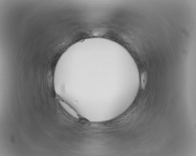 X0000114391443200911271449