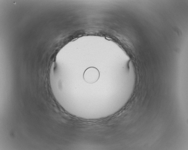 X0000114391445200911271449