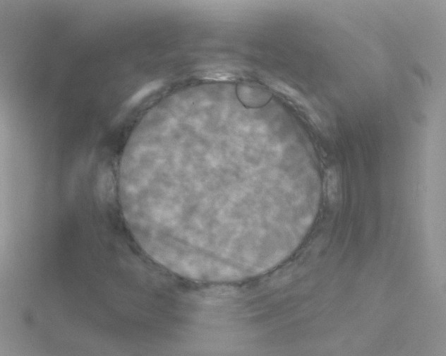 X0000114391446200911271449