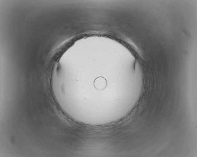 X0000114391448200911271449