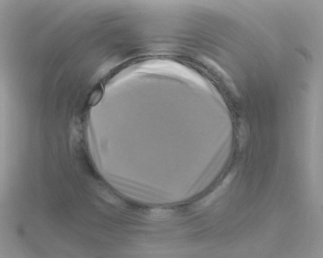 X0000114391449200911271449