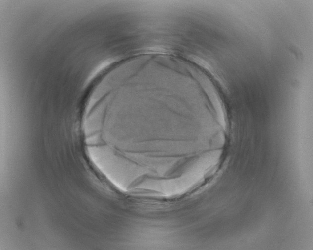 X0000114391450200911271449