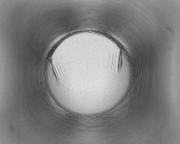 X0000114391452200911271449