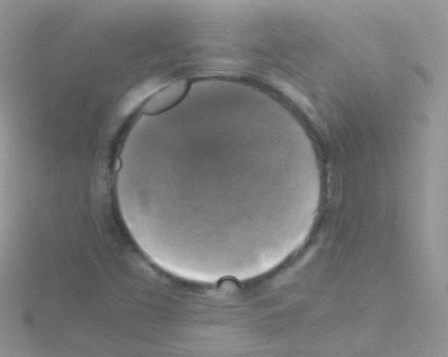 X0000114391453200911271449