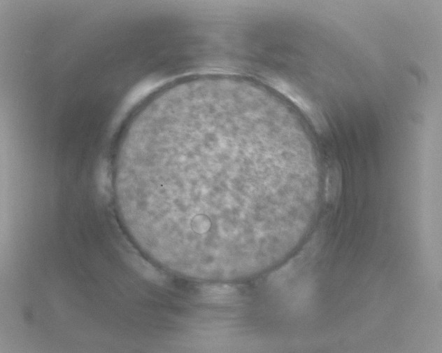 X0000114391454200911271449