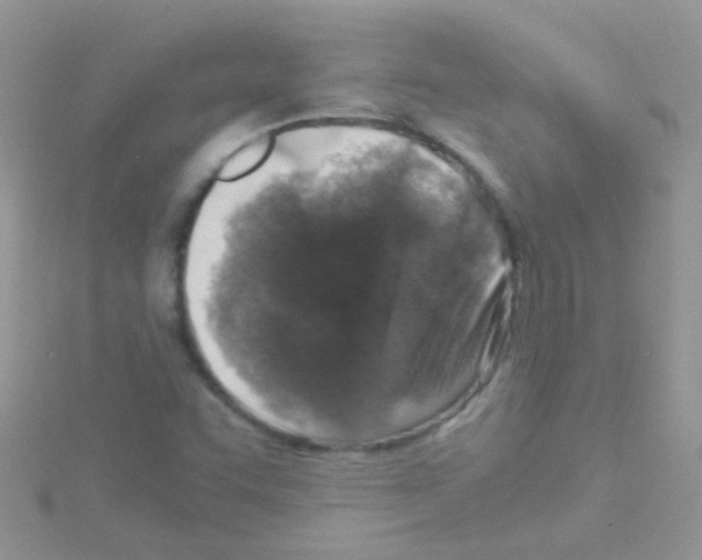 X0000114391455200911271449