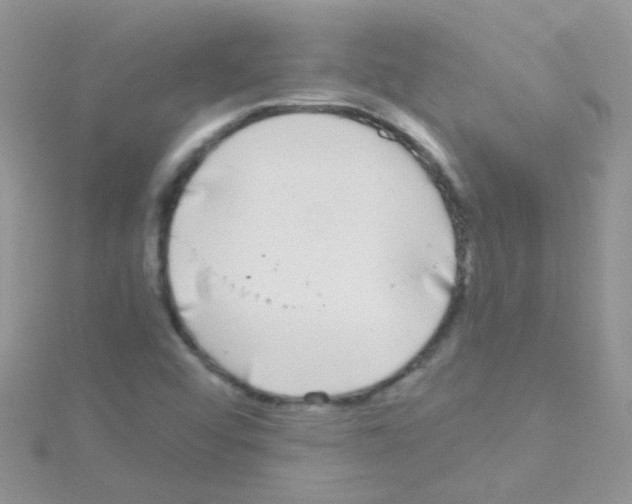 X0000114391456200911271449