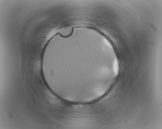 X0000114391459200911271449