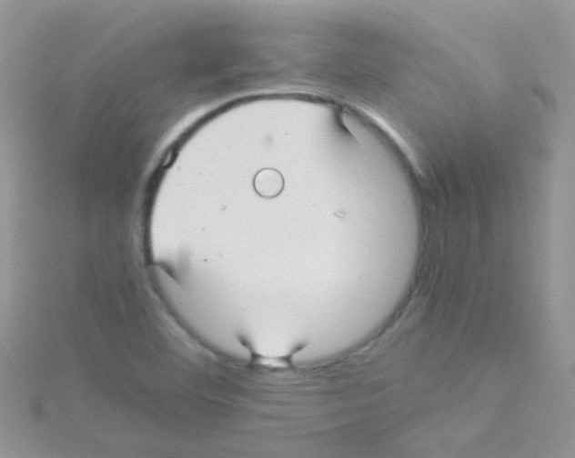 X0000114391460200911271449